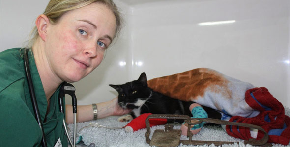 Vet Hannah Williams comforts the cat