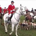 Gran’s anger as abusive hunt supporter cautioned