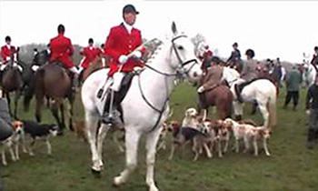 Gran’s anger as abusive hunt supporter cautioned