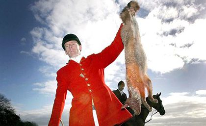 Tories bail out ‘barbaric fox hunters’ with £50,000 cash