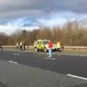 Hound killed as York and Ainsty North Hunt cause traffic chaos