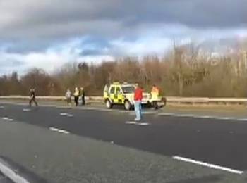 Hound killed as York and Ainsty North Hunt cause traffic chaos