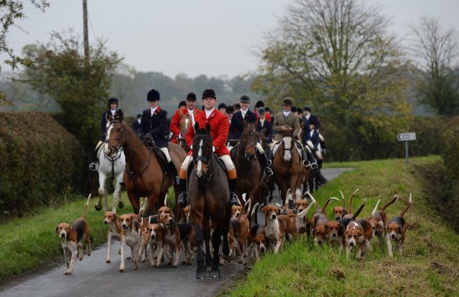 Police investigate after hunts damage property in Easingwold